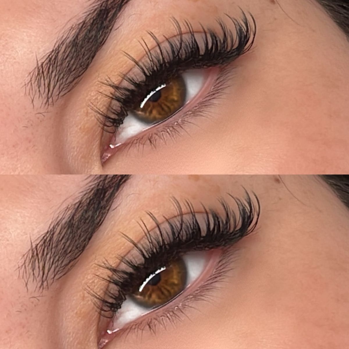 Wispy spikes, brown eye