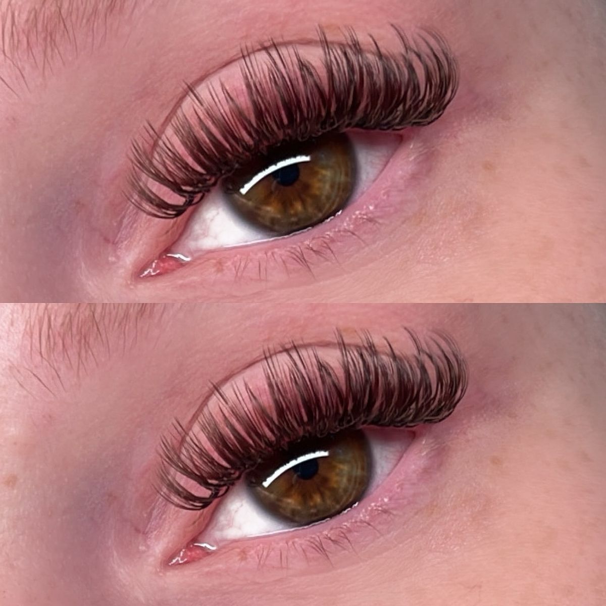 Color set with red tones