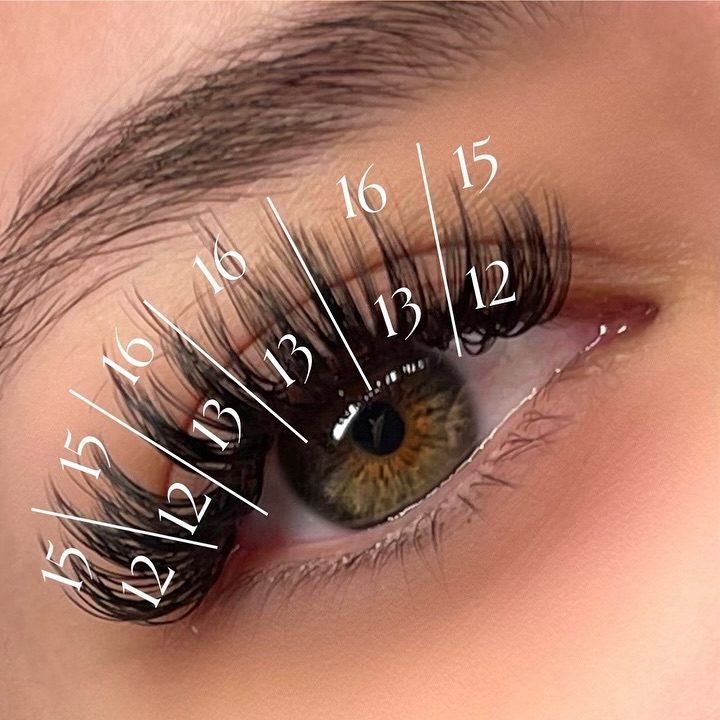 Her lash map: lengths from 12 to 16mm drawn across the lash line